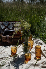 Crust Tumblers in Amber (Set of 2) - KLIMCHI