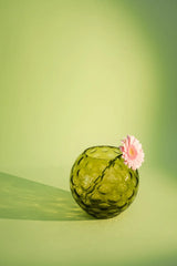 Bonsai Green Kugel Vase - KLIMCHI